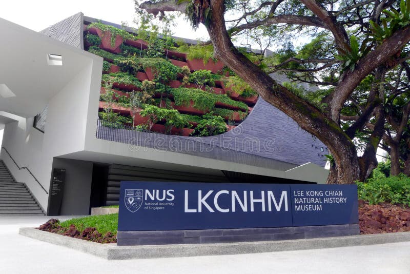 Lee Kong Chian Natural History-Museum, Singapur stockbilder Lee Kong Chian Natural History-Museum, Singapur stockbilder