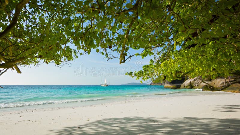 Leeg zandig strand Mooi tropisch landschap