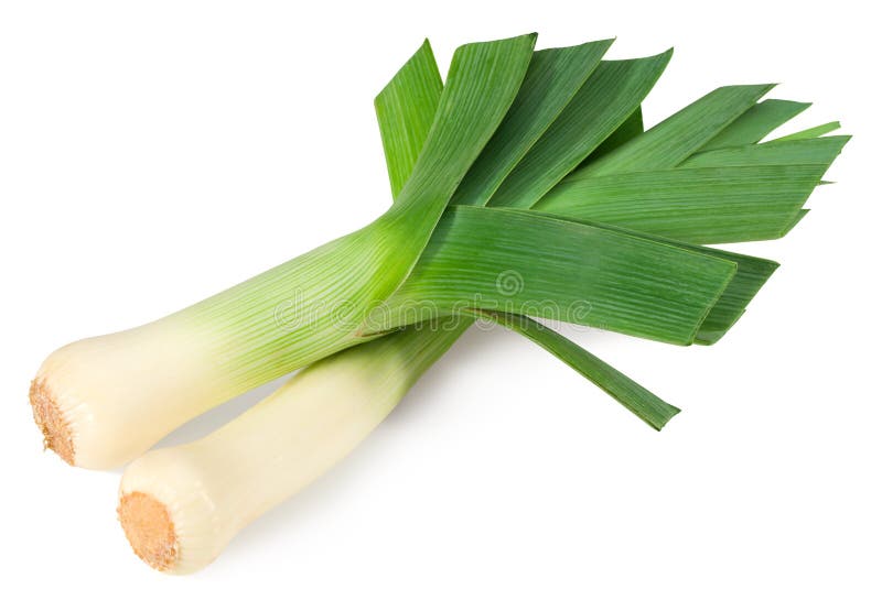 Leek isolated on white background. with clipping path. full depth of field stock images