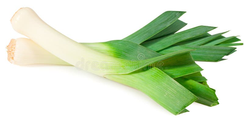 Leek isolated on white background. with clipping path. full depth of field stock photos