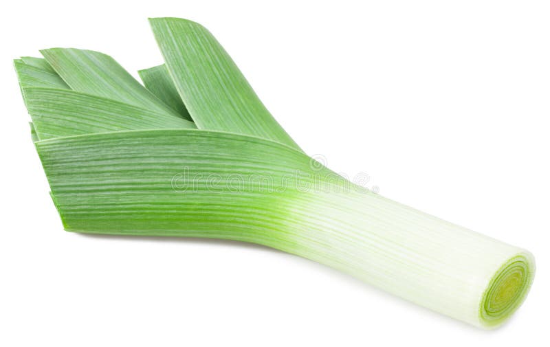 Leek isolated on white background. with clipping path. full depth of field royalty free stock photos