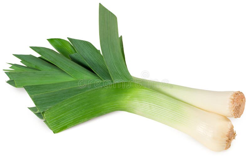 Leek isolated on white background. with clipping path. full depth of field stock images