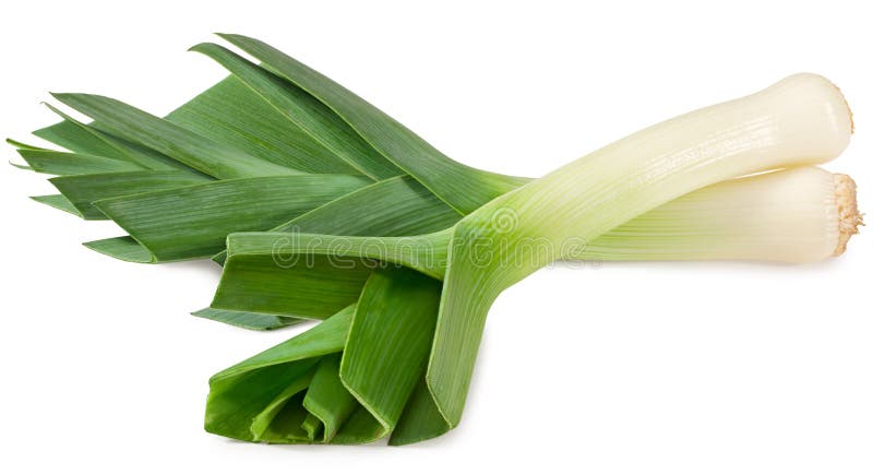 Leek isolated on white background. with clipping path. full depth of field royalty free stock images