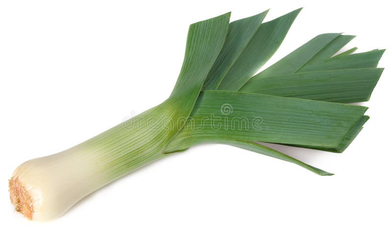 Leek isolated on white background. full depth of field stock photo