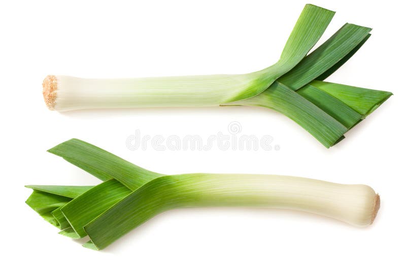 Leek isolated on white background. top view stock photos