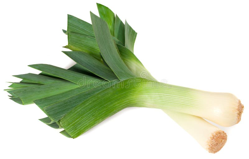 Leek isolated on white background. top view stock photos