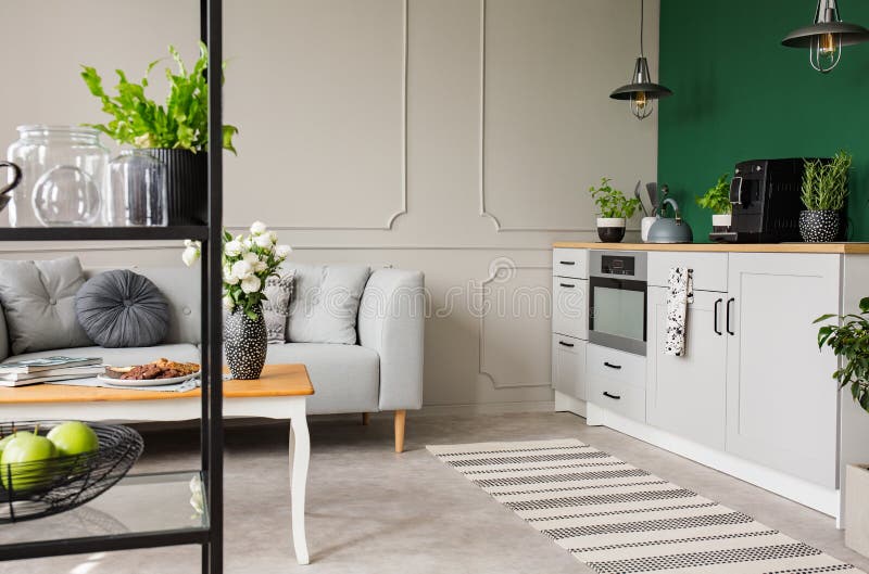 Leere grüne Wand mit Kopienraum in der eleganten Küche mit weißen Möbeln, Anlagen und Kaffeemaschine in der stilvollen kleinen Wo lizenzfreie stockfotografie Leere grüne Wand mit Kopienraum in der eleganten Küche mit weißen Möbeln, Anlagen und Kaffeemaschine in der stilvollen kleinen Wo lizenzfreie stockfotografie