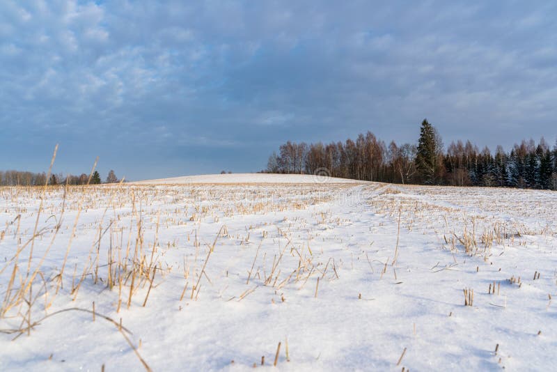 Leere Landschafts-Landschaft in Sunny Winter Day mit dem Schnee, der den Grund-, abstrakten Hintergrund mit tiefem Blick umfasst stockbilder
