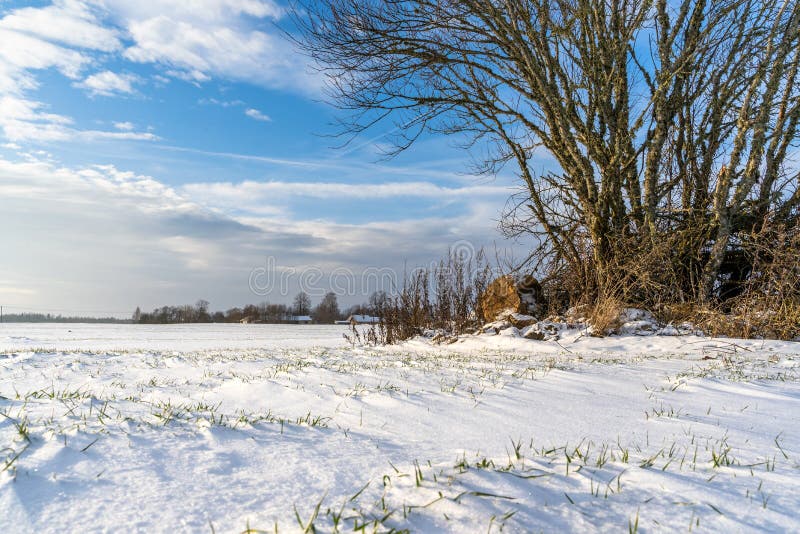 Leere Landschafts-Landschaft in Sunny Winter Day mit dem Schnee, der den Grund-, abstrakten Hintergrund mit tiefem Blick und das lizenzfreie stockfotos