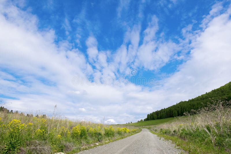 Leere Landschaftsstraße durch Felder zum Himmel stockbild