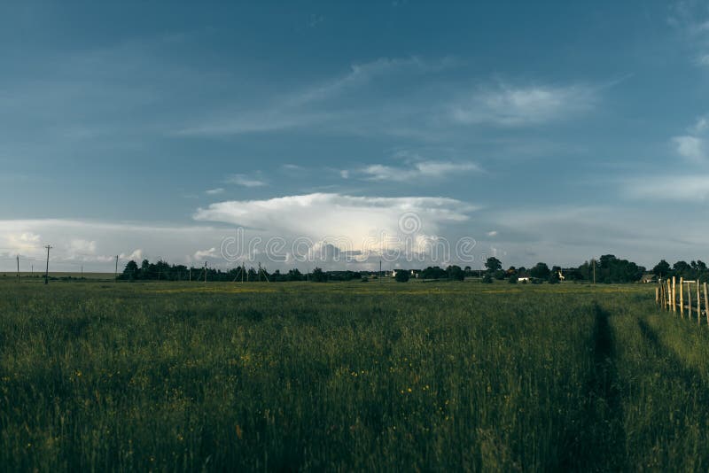 Leere Landschaftsstraße Feldern mit Weizen lizenzfreies stockfoto