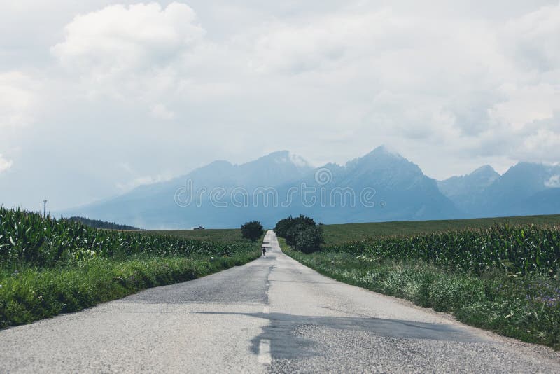 Leere Landschaftsstraße zum Berg Feldern lizenzfreies stockbild