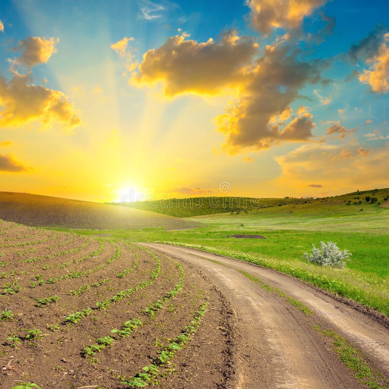 Leere Landschaftsstraße durch Frühlingsfelder lizenzfreies stockfoto