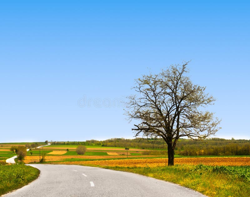 Leere Landschaftstraße lizenzfreie stockfotografie