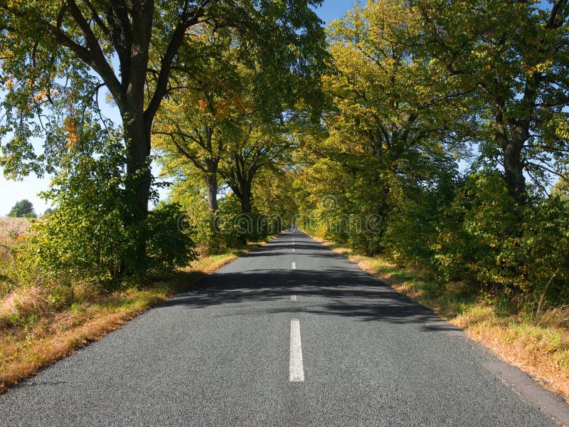 Leere Landschaftstraße mit Herbstbäumen lizenzfreie stockfotografie
