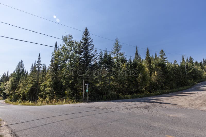 Leere Landstrasse durch Wald im Sommer stockbild