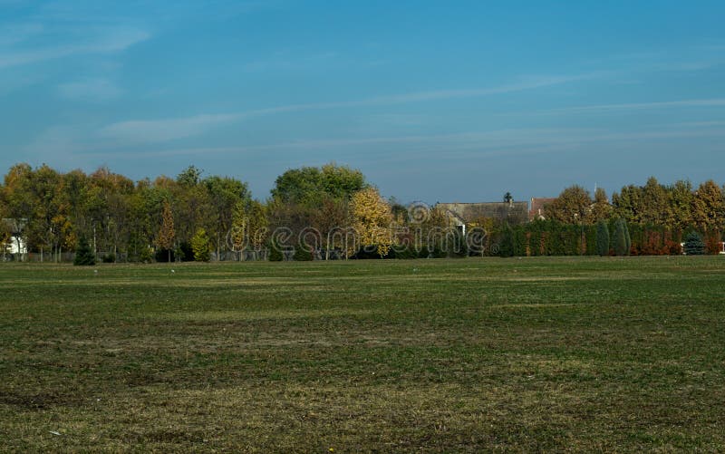 Leeren Sie Feld mit Bäumen während der Herbstzeit stockfoto Leeren Sie Feld mit Bäumen während der Herbstzeit stockfoto