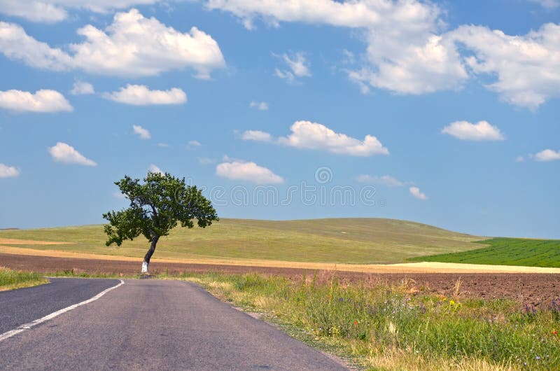 Leeren Sie Landschaftsstraße stockfoto