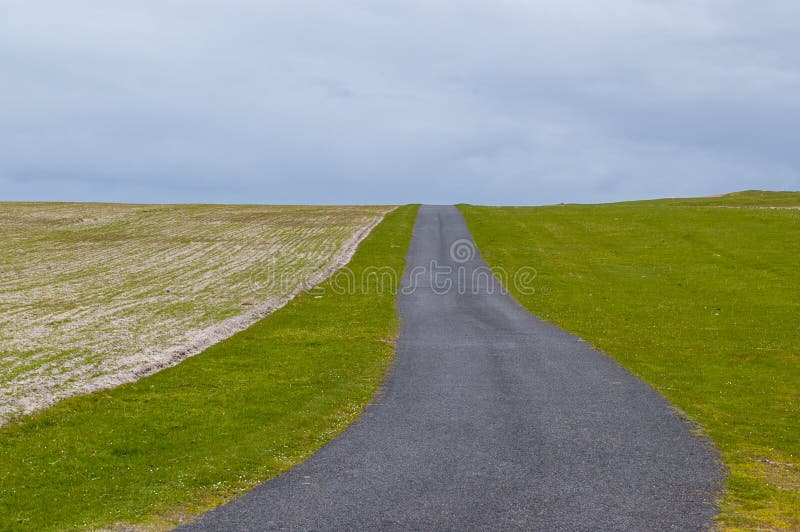 Leerer Landschaftsstraßenlauf zwischen blühenden Landschaften lizenzfreie stockbilder