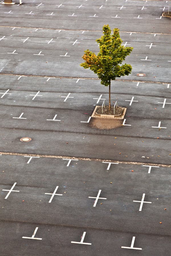 Leerer Parkplatz mit Markierung stellt in die Oberfläche ein stockfotos Leerer Parkplatz mit Markierung stellt in die Oberfläche ein stockfotos