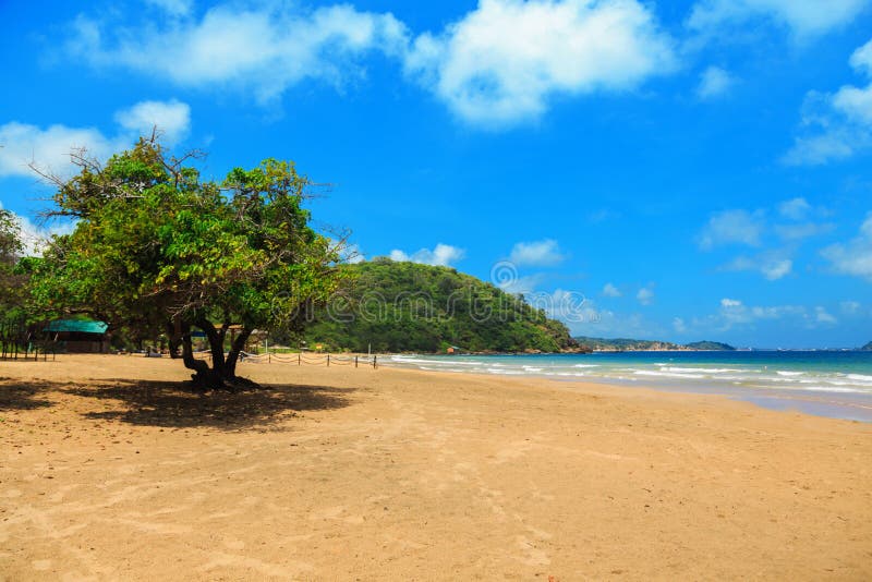 Leerer tropischer Strand Marmorbucht, Sri Lanka lizenzfreie stockfotografie Leerer tropischer Strand Marmorbucht, Sri Lanka lizenzfreie stockfotografie