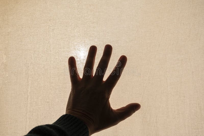 Left hand on canvas background royalty free stock images