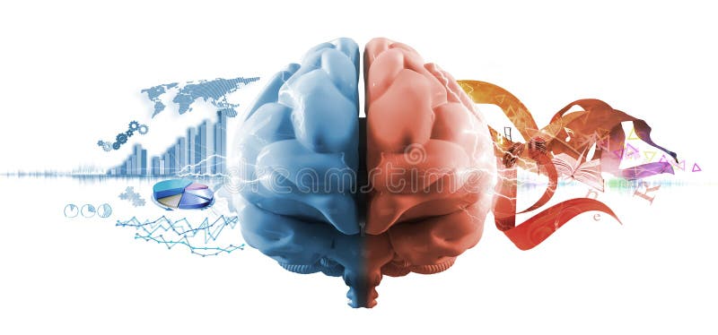 A la izquierda a la ley cerebro funciones,  gráficos tridimensionales renderizados por computadora.