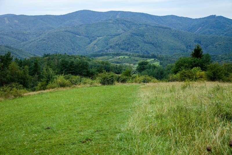 On the left side meadow used like pasture, on the right side is mountain meadow, in the background are mountains, Slovakia