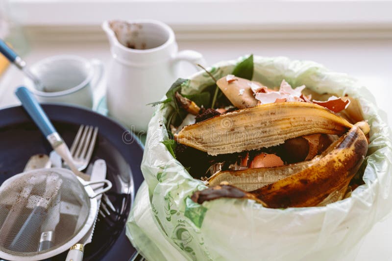 Leftover Food in Trash Can in Kitchen Stock Image Image of bucket
