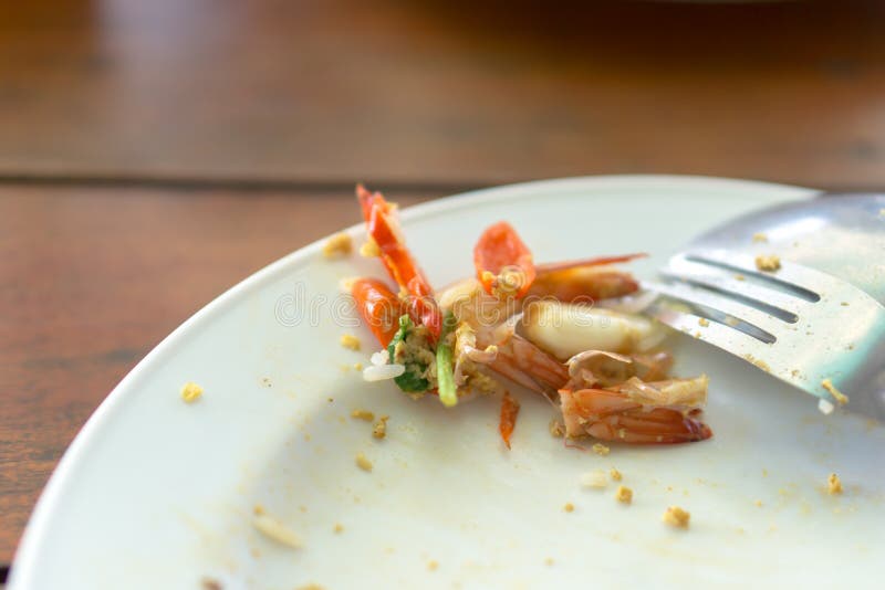 Leftover Thai food stock photo. Image of healthy, chili 69214932