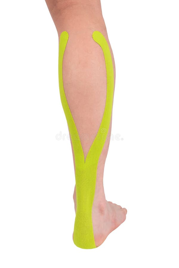 Leg with Medical Tape Glued on, Isolated on White Stock Image Image