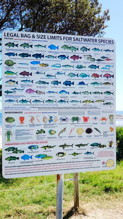 Fish Chart Nsw