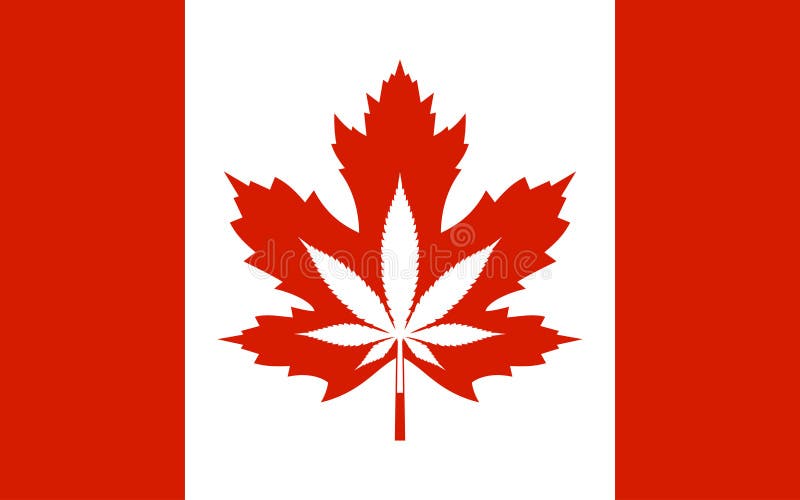 The Tarot Guild - Page 17 Legalization-cannabis-hemp-canada-flag-vector-legalization-cannabis-hemp-canada-flag-vector-illustration-138629938
