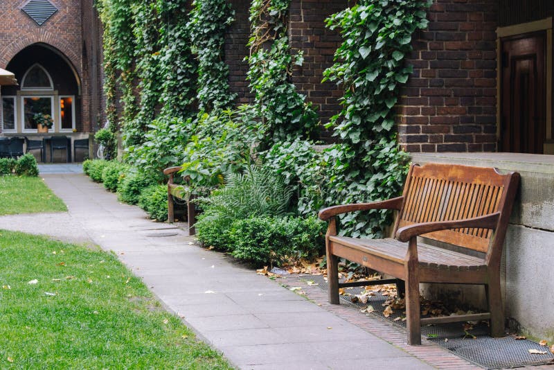 Lege houten bank in comfortabele binnenplaats Bank in de zomerterras Houten openluchtmeubilair in tuin Bank met gras en bomen in royalty-vrije stock afbeelding Lege houten bank in comfortabele binnenplaats Bank in de zomerterras Houten openluchtmeubilair in tuin Bank met gras en bomen in royalty-vrije stock afbeelding
