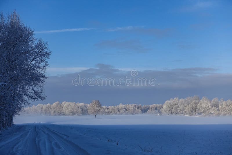 Lege landelijke weg langs de rand van het bos in de winter stock foto Lege landelijke weg langs de rand van het bos in de winter stock foto
