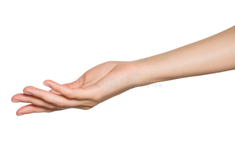 Lege, open vrouwenhand stock afbeelding