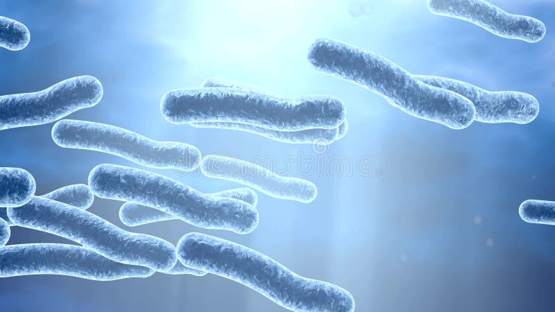 Legionella-bakterier i vatten, 3D-illustration