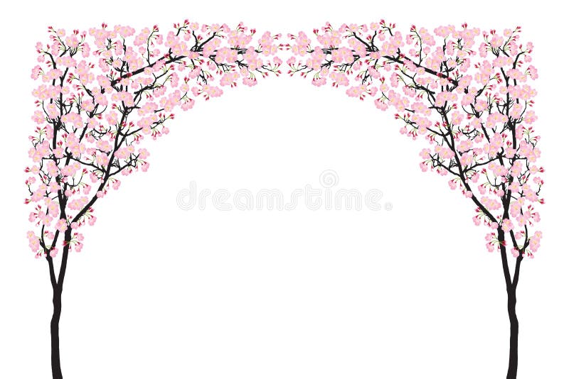 Legno del nero della curva del fiore di ciliegia dell'arco dell'albero di sakura di rosa della piena fioritura isolato su bianco royalty illustrazione gratis Legno del nero della curva del fiore di ciliegia dell'arco dell'albero di sakura di rosa della piena fioritura isolato su bianco royalty illustrazione gratis