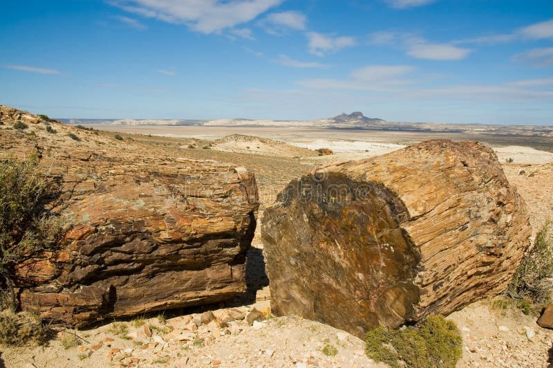 Legno Petrified nel Patagonia. immagine stock libera da diritti Legno Petrified nel Patagonia. immagine stock libera da diritti