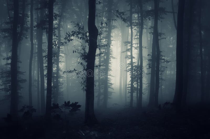 Legno scuro profondo con nebbia terrificante