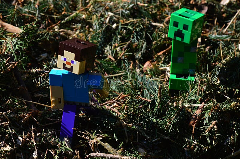 360 Lego Minecraft Stock Photos - Free & Royalty-Free Stock Photos from  Dreamstime