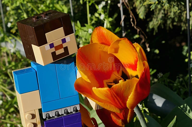 360 Lego Minecraft Stock Photos - Free & Royalty-Free Stock Photos from  Dreamstime