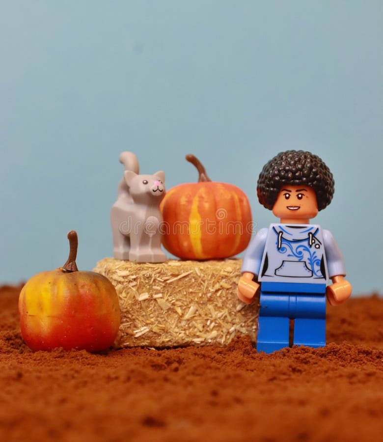 Lego minifiguro που στέκεται κοντά σε κολοκύθες και γάτες στοκ εικόνα