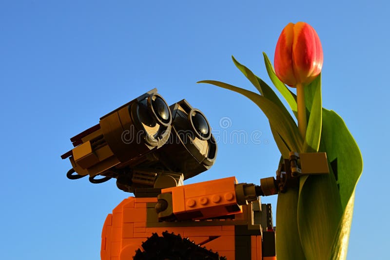 7 533 Wall E Photos Free Royalty Free Stock Photos From Dreamstime 7 533 Wall E Photos Free Royalty Free Stock Photos From Dreamstime