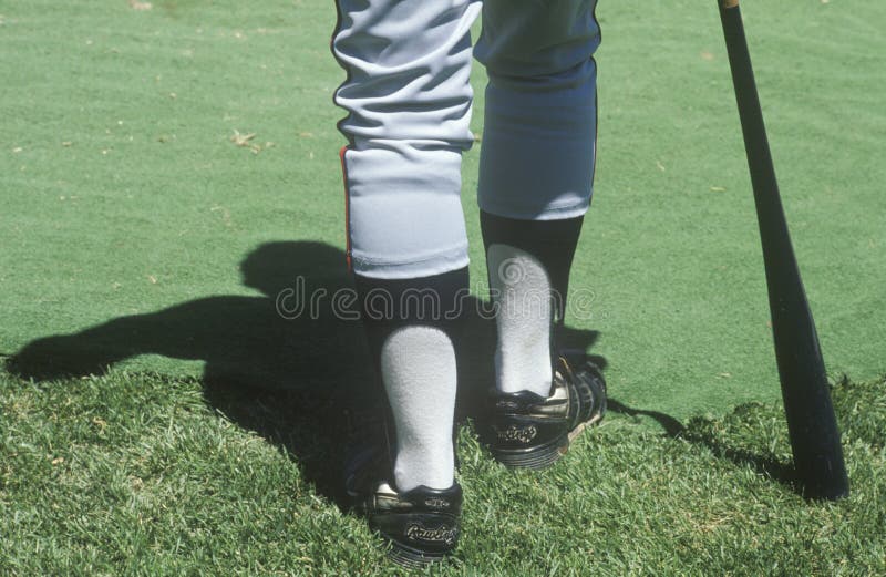 Legs of a Major League Baseball Player Stock Image Image of color