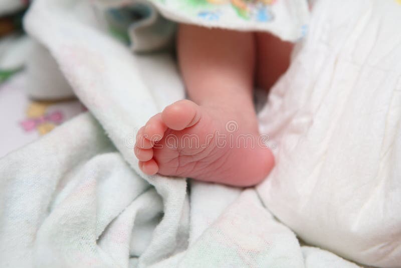 Legs newborn stock image. Image of human, bodypart, baby 11182167