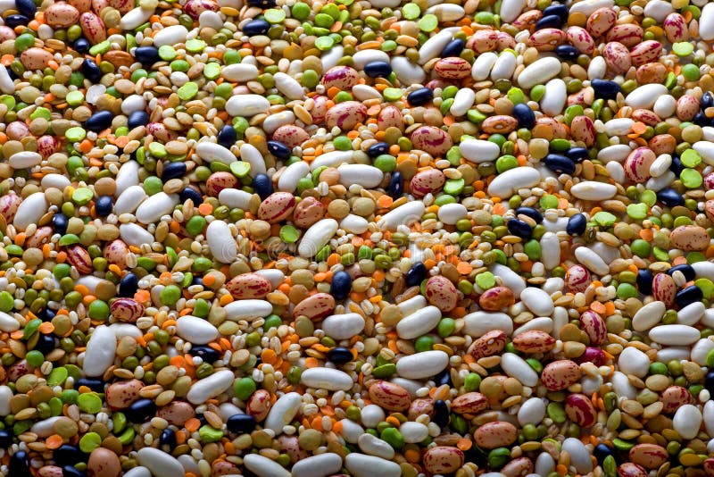Legumes and cereals stock photo. Image of legume, food 9062908