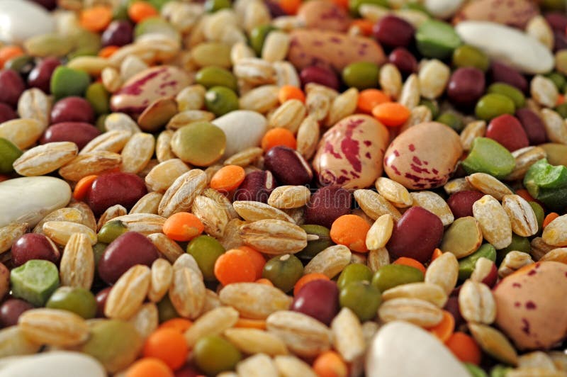 Legumes and cereals stock image. Image of food, natural 33126389