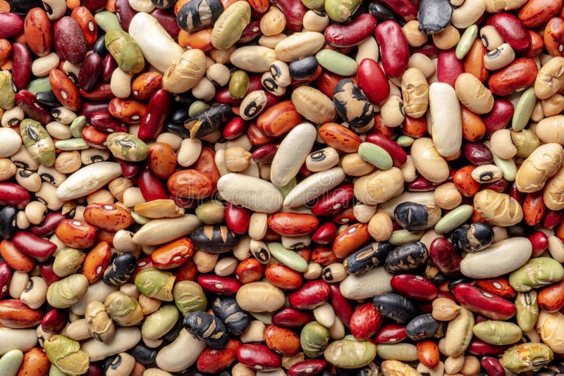 Legumes texture. Pulses banner design. Many different beans and grains royalty free stock images