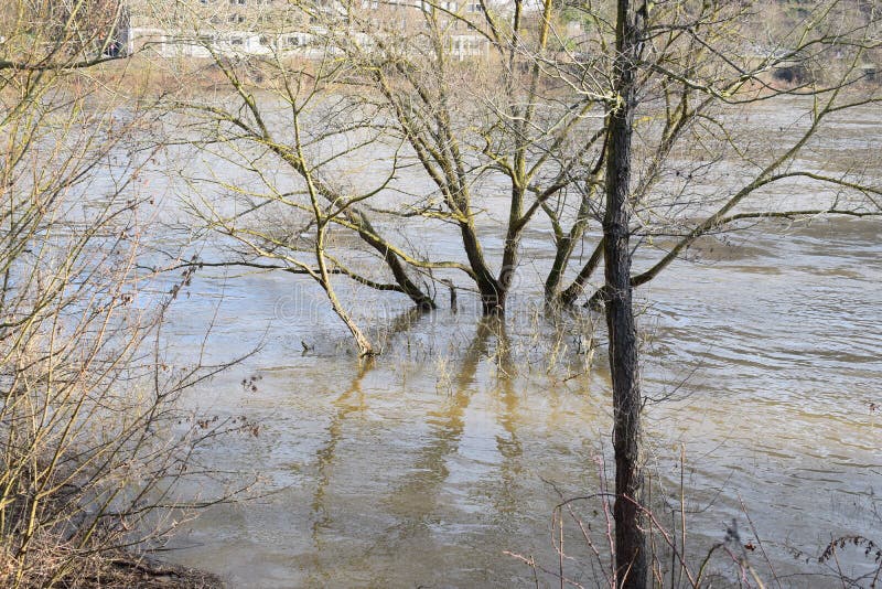 Mosel valley road near Lehmen during the winter flood with muddy water covering the lower parts along the river. Moselle is still low in 2023, the floods before were higher. Mosel valley road near Lehmen during the winter flood with muddy water covering the lower parts along the river. Moselle is still low in 2023, the floods before were higher